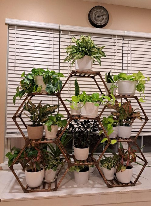 New! Plant Stand Indoor, Wood Outdoor Plant Shelf for Plants, 9 Potted Ladder Plant Holder