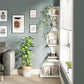 Modern Corner Shelf 5-Tier Wall Bookshelf Storage Rack & Plant Stand- White