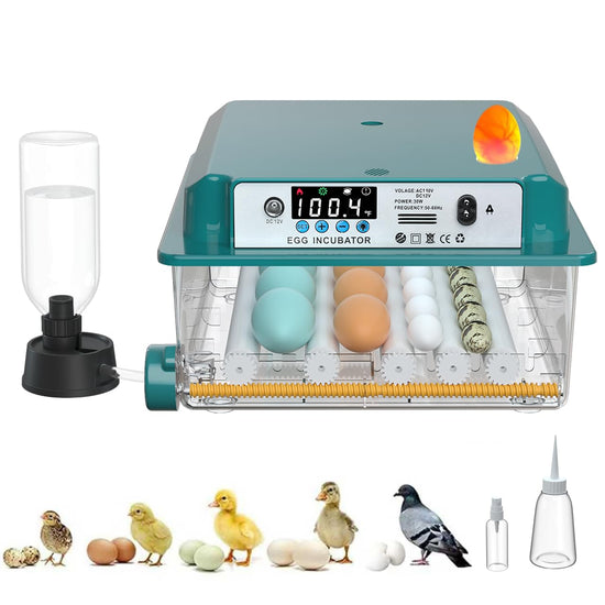 Egg Incubator for Hatching Egg Full Automatic (16 Eggs) Turning & Humidity Control