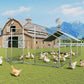 Large Chicken Coop Chicken Runs for Yard with Cover Outdoor Metal Pet Pens Poultry Cage Duck Rabbit House Backyard Use 10x20FT