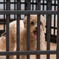 Portable Foldable Animal Pet Dog Enclosed Playpen + Door | Dog Fence | 35"L x 35"W x 24"H