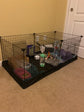Pet Playpen Cage Exercise Pen and Enclosure with Divider Panel NEW