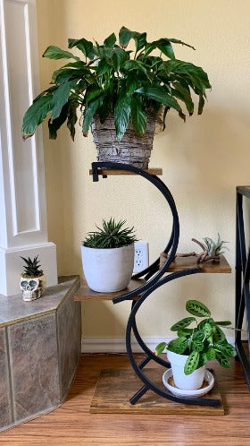 4 Tier Wrought Iron Plant Stand for Home Decor