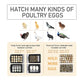 Egg Incubator with Automatic Egg Turning Can Hatch Chickens Quail Ducks Poultry Bird