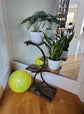 4 Tier Wrought Iron Plant Stand for Home Decor