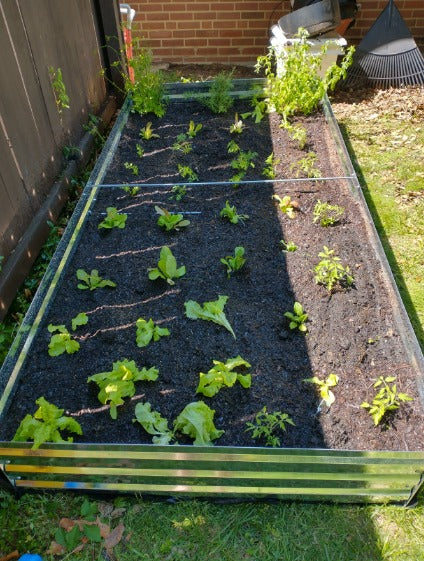 Galvanized Raised Garden Beds for Vegetables Large Metal Planter Box 8x4x1ft