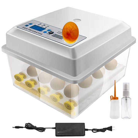 💥FREE SHIPPING💥Egg Incubator for Hatching Egg Full Automatic (16 Eggs) Turning & Humidity Control